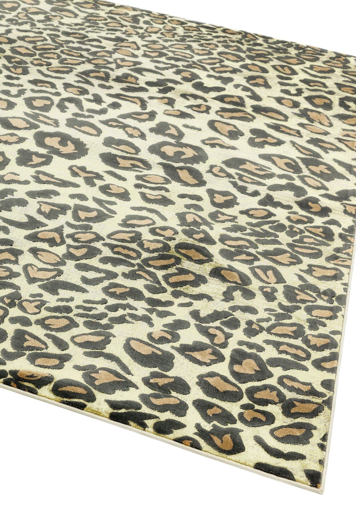 QU01 Leopard